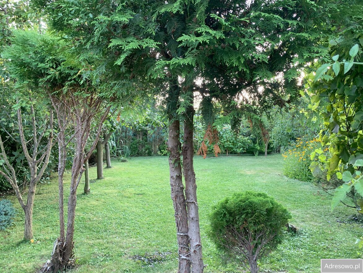 Działka rod Racibórz, ul. Opawska. Zdjęcie 6