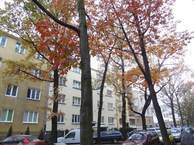 Mieszkanie 1-pokojowe Warszawa Mokotów, ul. Kielecka. Zdjęcie 2