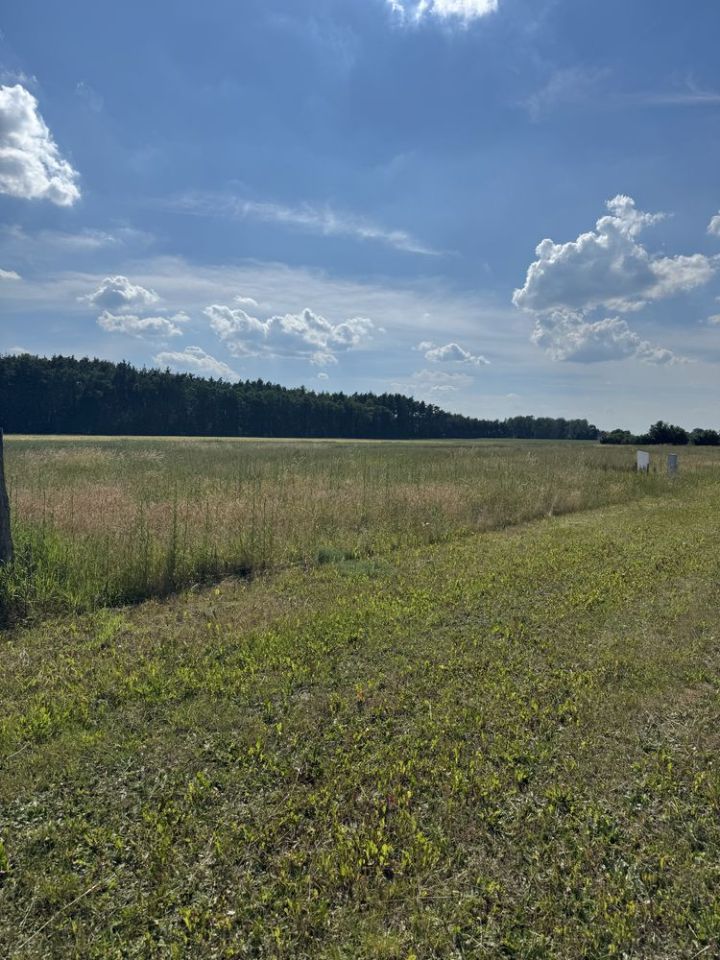 Działka budowlana Warszty. Zdjęcie 2