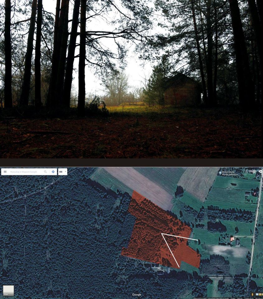 Działka leśna Turna Duża. Zdjęcie 33