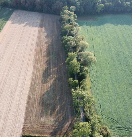 Działka budowlana Syców, ul. Polna. Zdjęcie 1