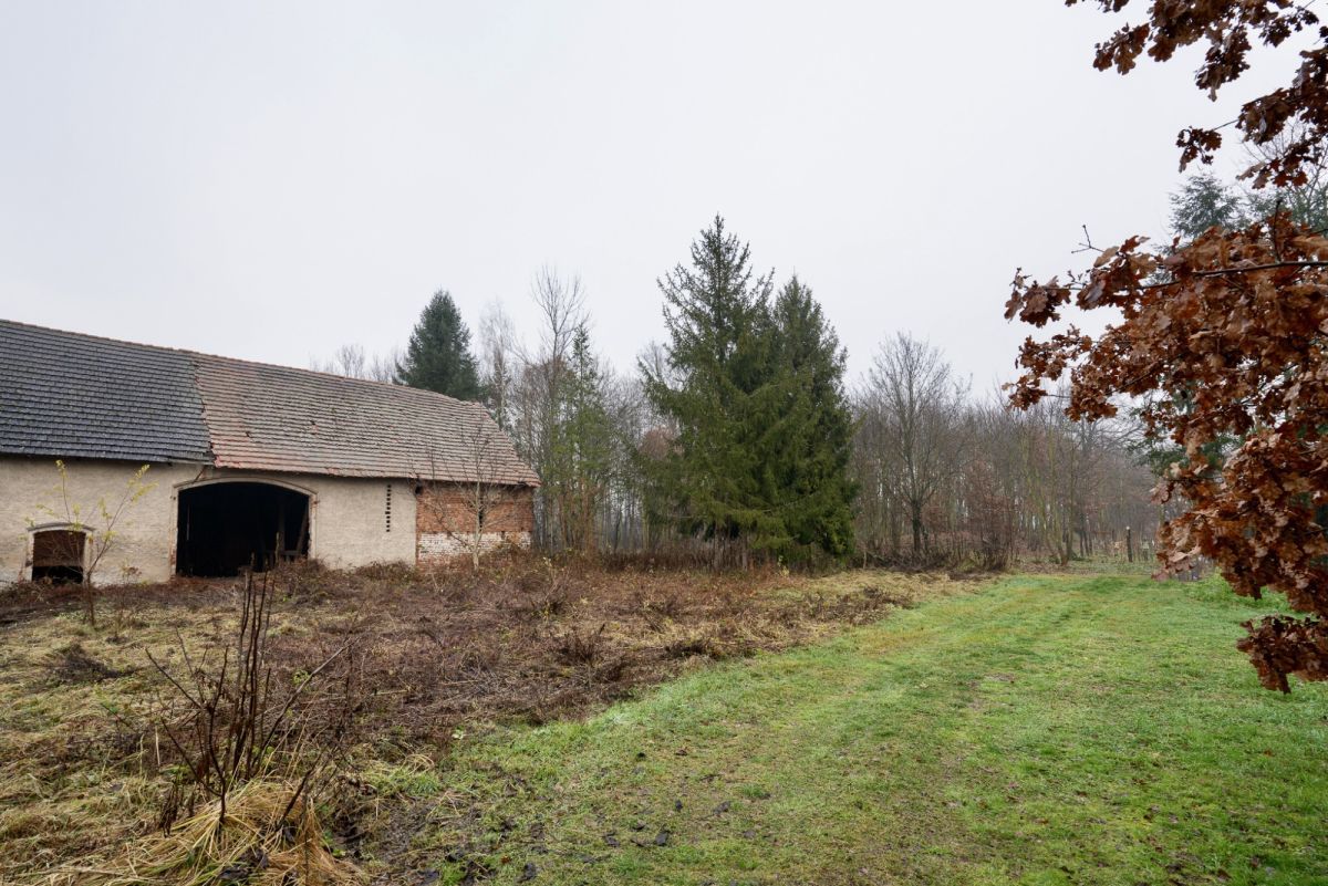 Działka budowlana Siekierowice. Zdjęcie 13