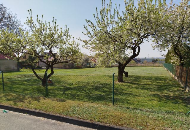 Działka budowlana Janowiec Wielkopolski, ul. Klemensa Janickiego. Zdjęcie 1