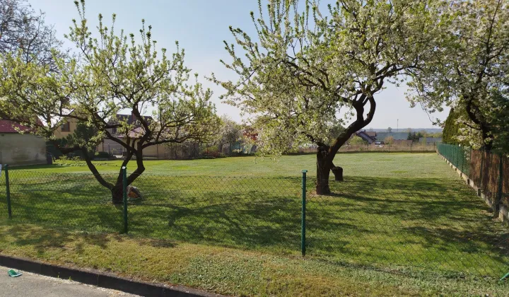 Działka budowlana Janowiec Wielkopolski, ul. Klemensa Janickiego