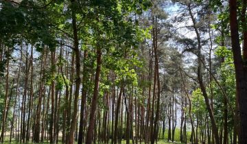 Mieszkanie 2-pokojowe Serock