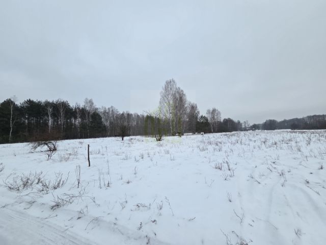 Działka rolna Stare Budy Radziejowskie. Zdjęcie 4