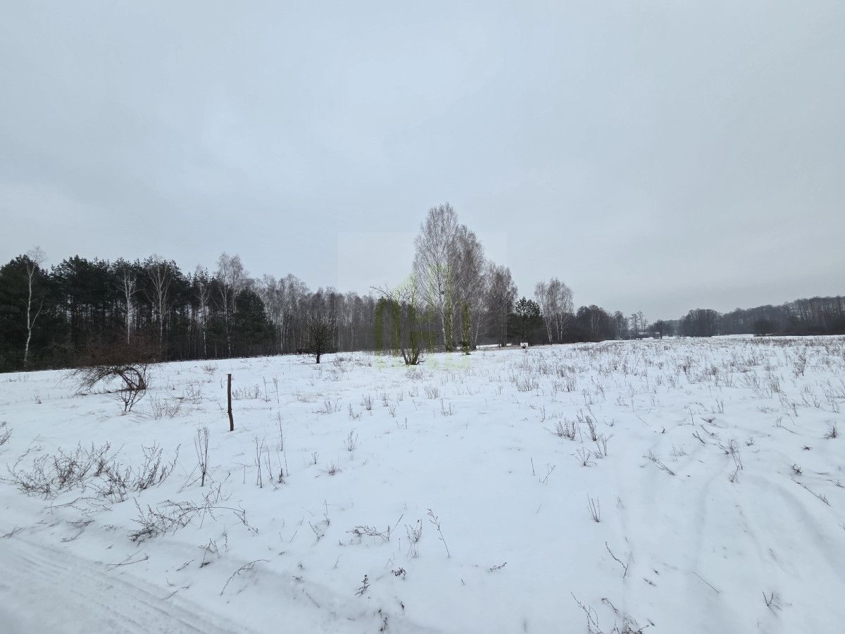 Działka rolna Stare Budy Radziejowskie. Zdjęcie 4