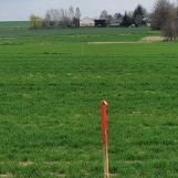 Działka rolno-budowlana Stary Zamość. Zdjęcie 2