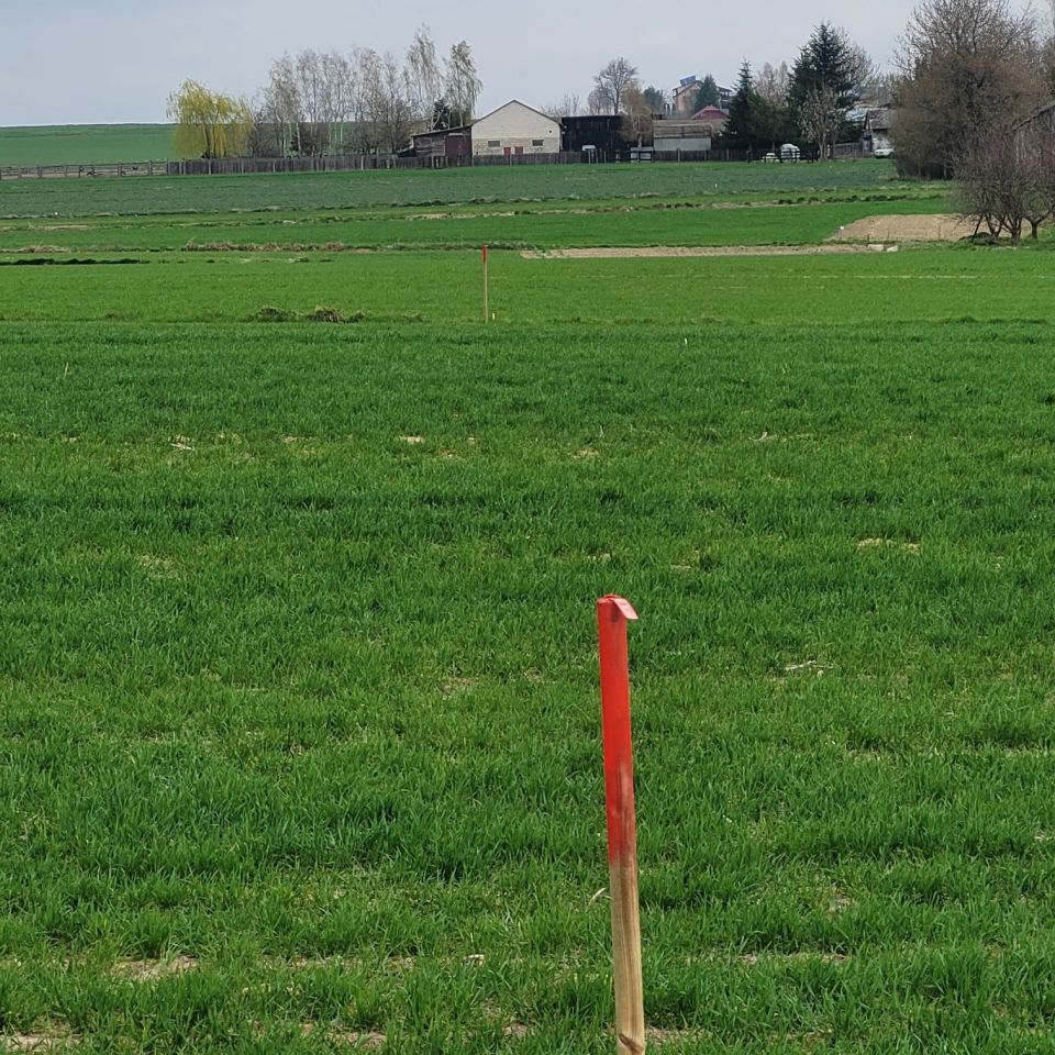 Działka rolno-budowlana Stary Zamość. Zdjęcie 3