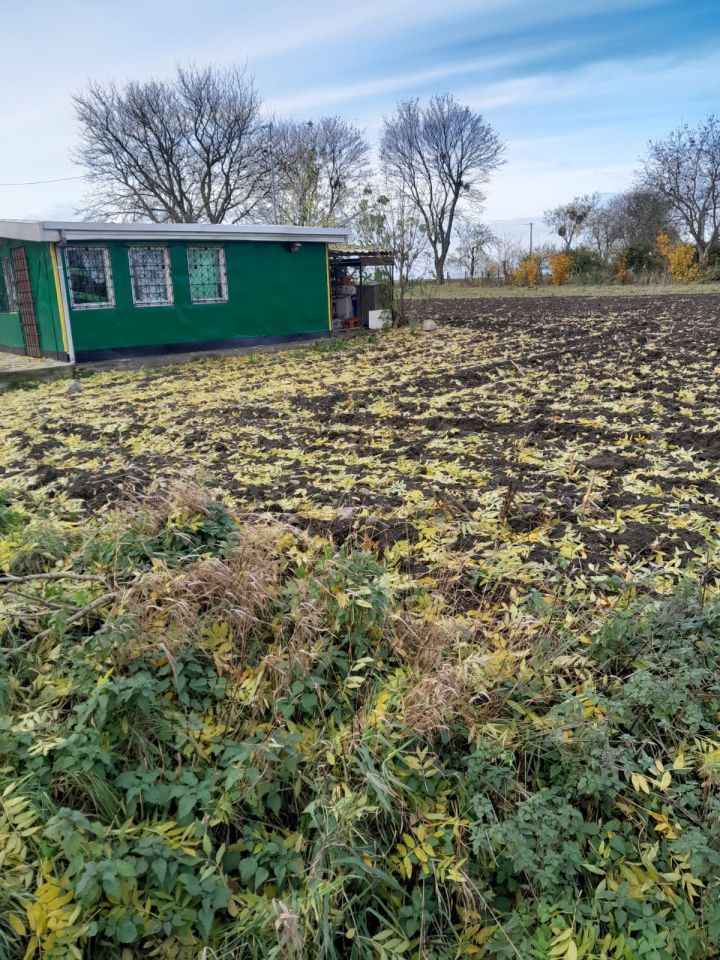 Działka budowlana Pusta Dąbrówka. Zdjęcie 5