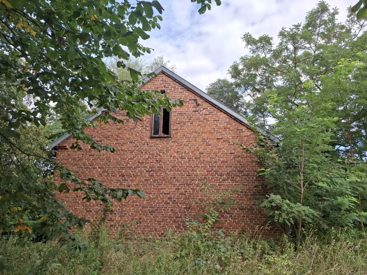 Działka rolno-budowlana Rembieszów Rembieszów-Kolonia. Zdjęcie 9