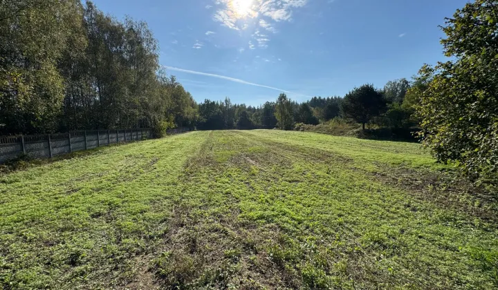 Działka rekreacyjna Dzbądzek