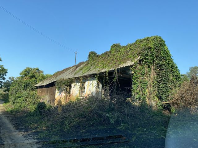 Działka Siedliska. Zdjęcie 1