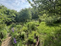 Działka rod Płock Winiary. Zdjęcie 4