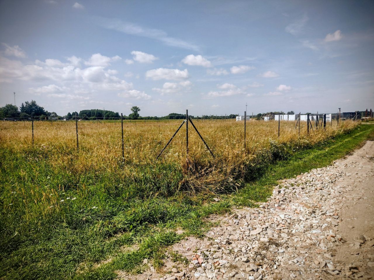 Działka budowlana Polichno. Zdjęcie 4