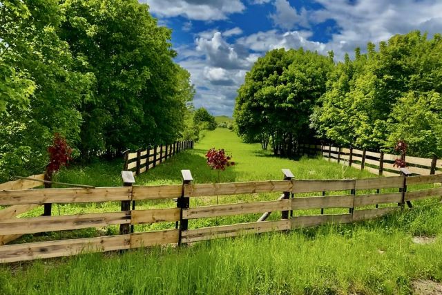 Działka rolno-budowlana Oracze. Zdjęcie 1