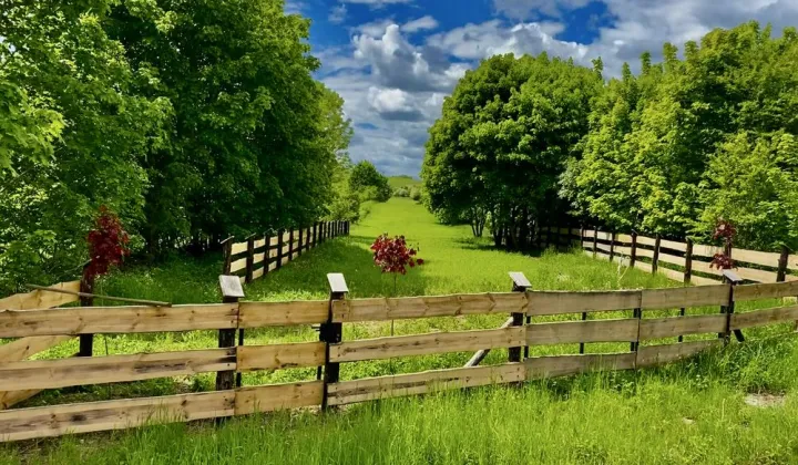 Działka rolno-budowlana Oracze