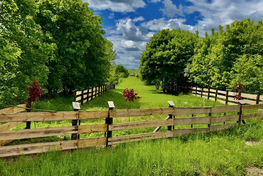 Działka budowlana Oracze. Zdjęcie 1