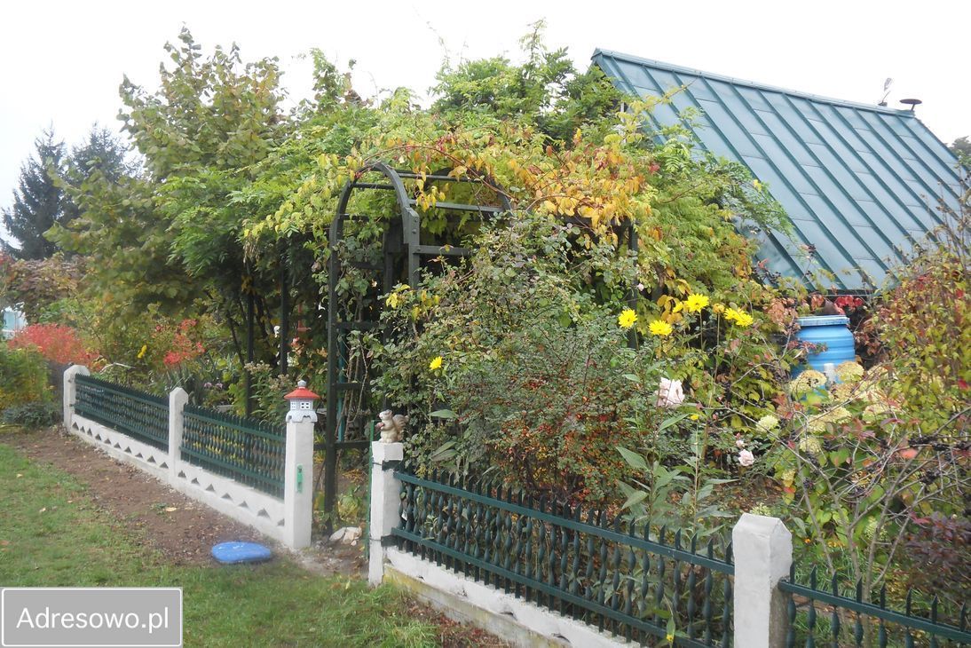 Działka rod Lubin. Zdjęcie 4