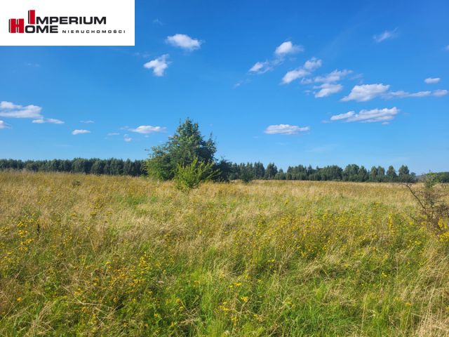 Działka budowlana Łebcz, ul. Pogodna. Zdjęcie 13