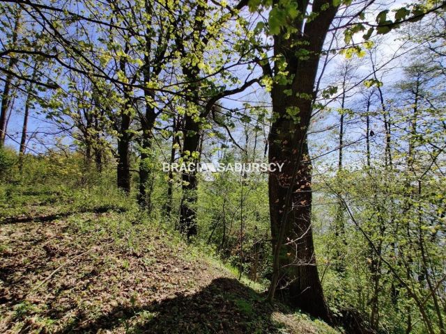 Działka rekreacyjna Łukta. Zdjęcie 8