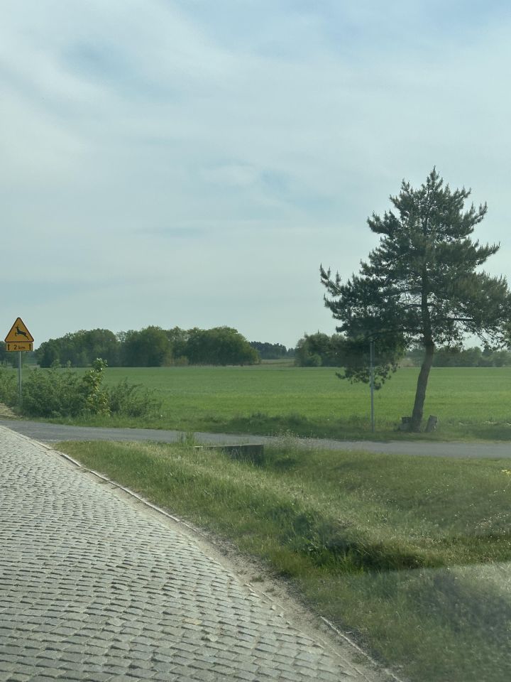 Działka budowlana Sucha Dolna. Zdjęcie 3