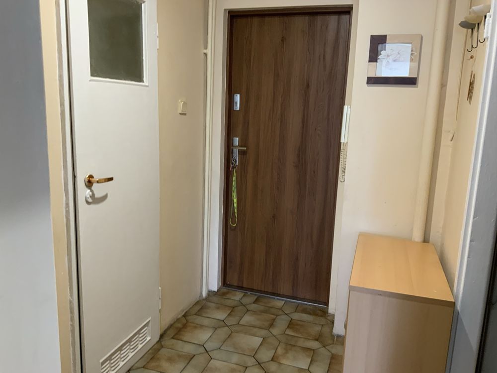 Mieszkanie 2-pokojowe Poznań Winogrady, os. Przyjaźni. Zdjęcie 4