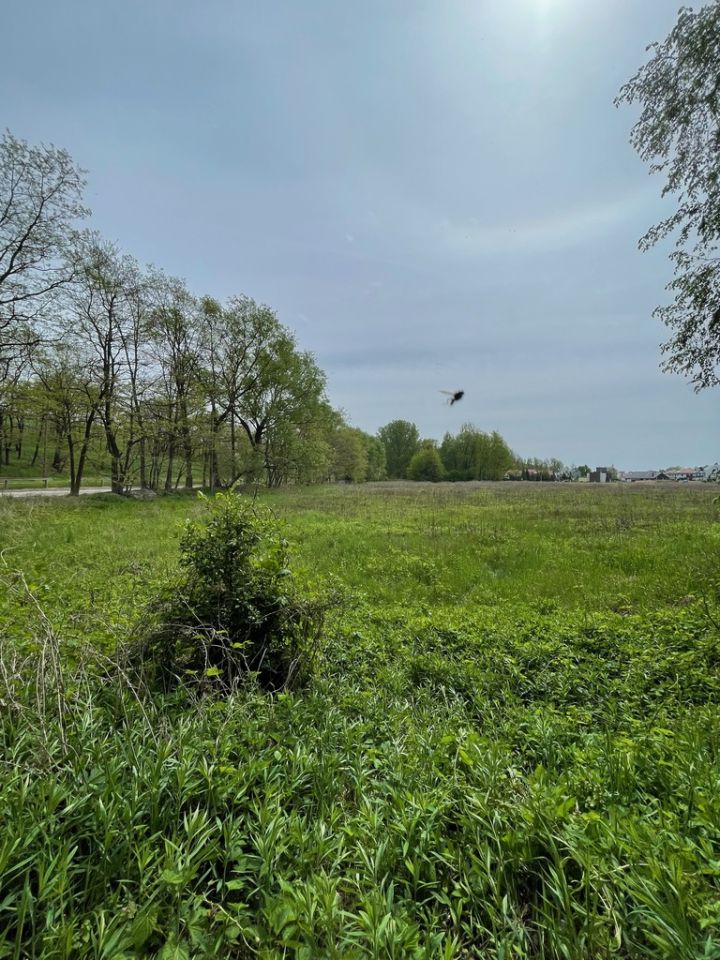 Działka inwestycyjna Warszawa Kępa Zawadowska. Zdjęcie 2