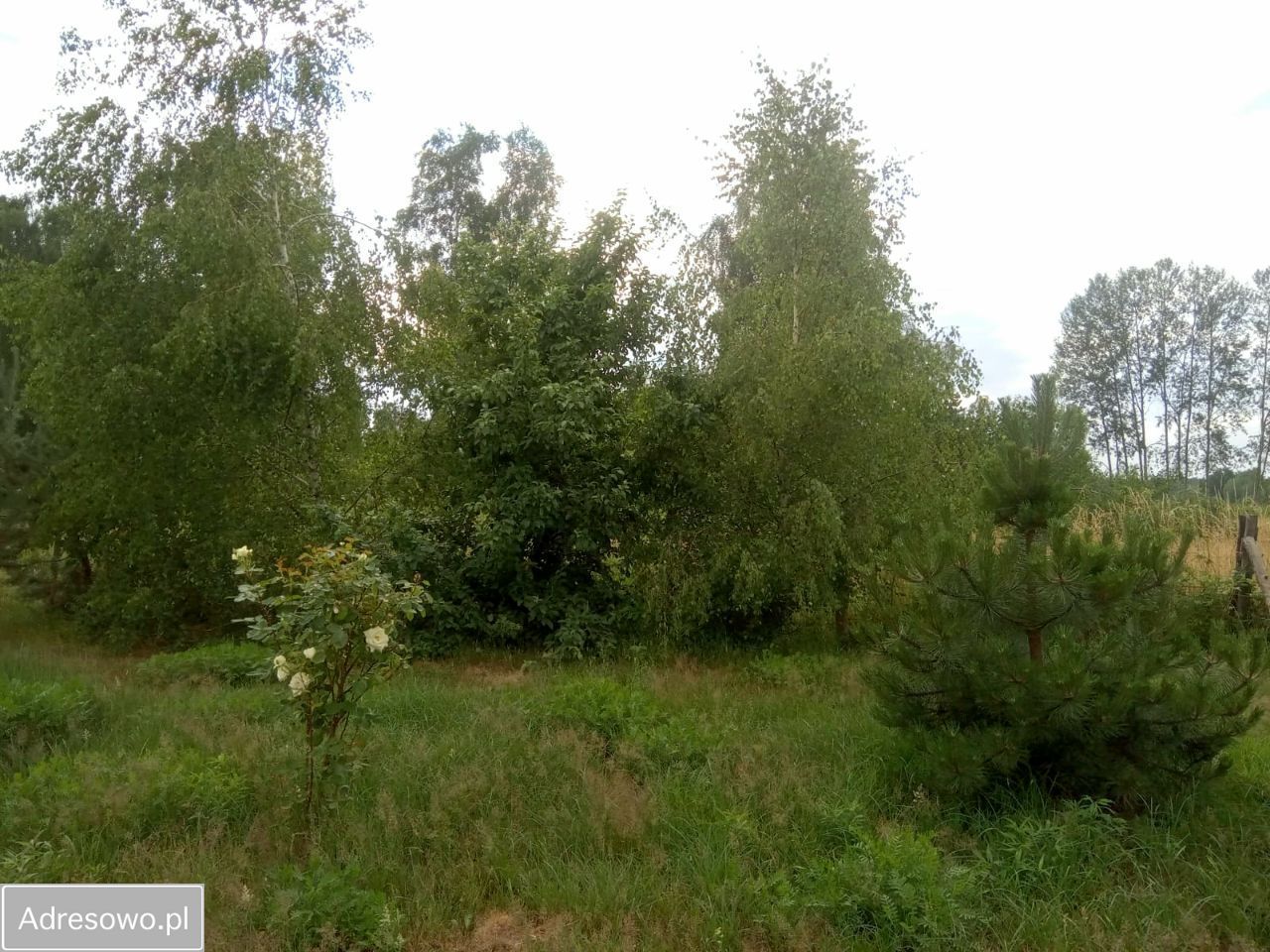 dom wolnostojący, 5 pokoi Jabłoniec. Zdjęcie 6