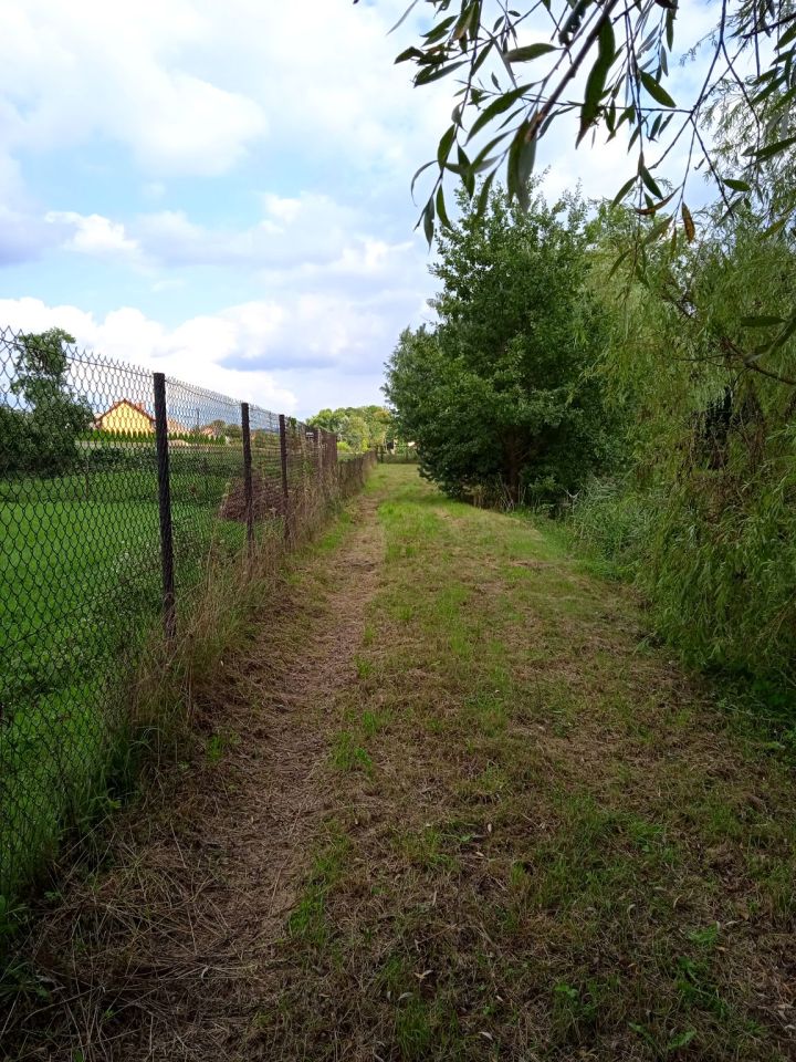 Działka rekreacyjna Pierzchów. Zdjęcie 9