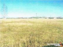 Działka budowlana Cudów