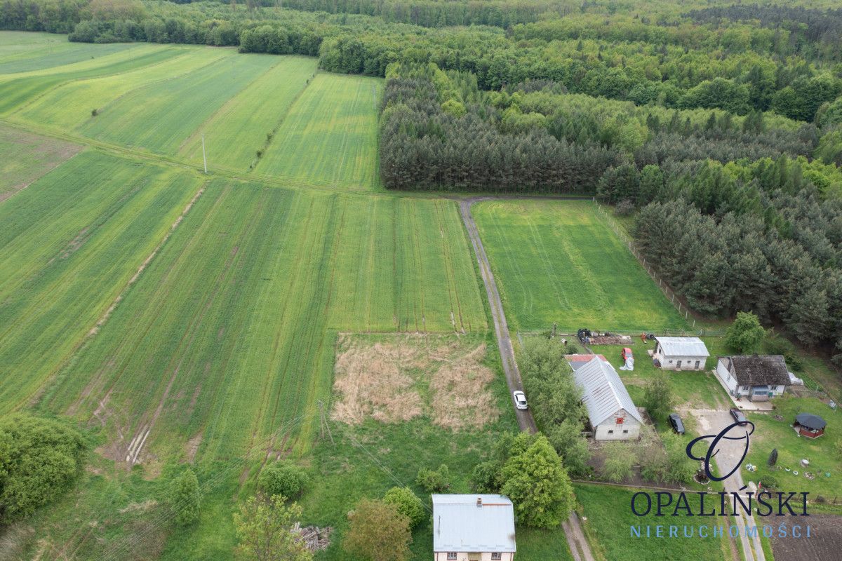 Działka budowlana Czerce. Zdjęcie 4