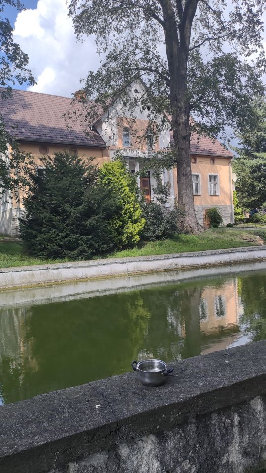 dom wolnostojący, 11 pokoi Kotla, ul. Głogowska. Zdjęcie 5