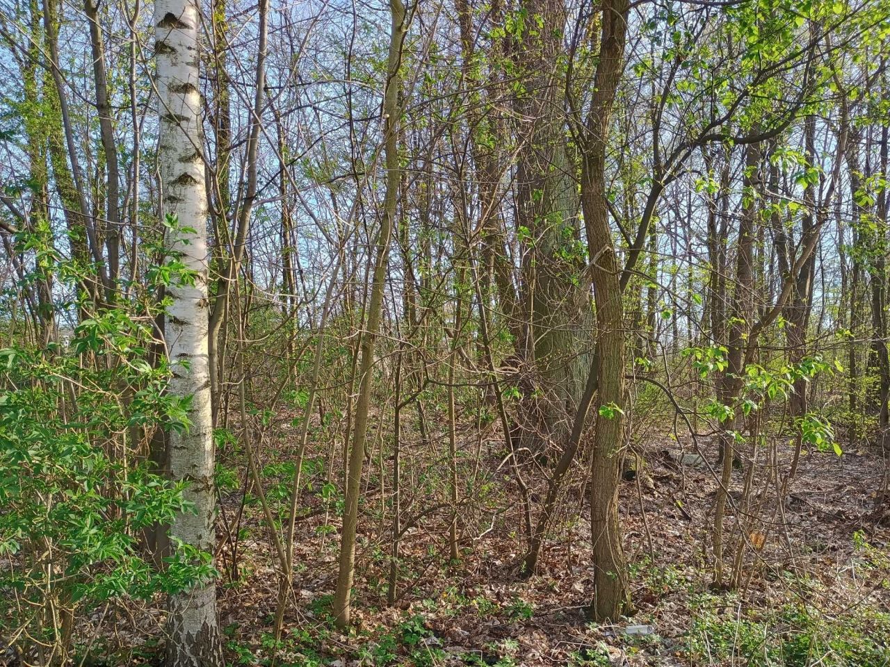 Działka budowlana Nagawki. Zdjęcie 2