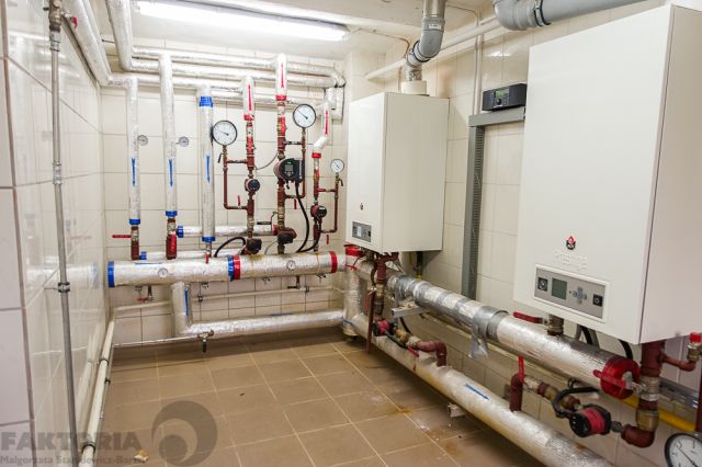 Hala/magazyn Szczecin Pomorzany. Zdjęcie 13