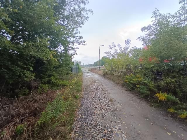 Działka rolno-budowlana Michałów-Reginów. Zdjęcie 2