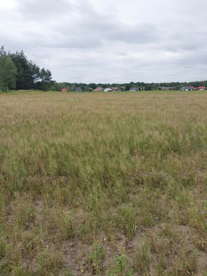 Działka budowlana Zbydniów. Zdjęcie 4