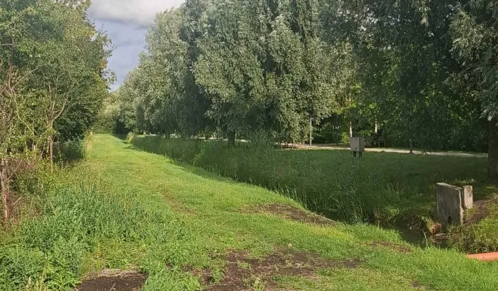 Działka budowlana Pruszcz Gdański