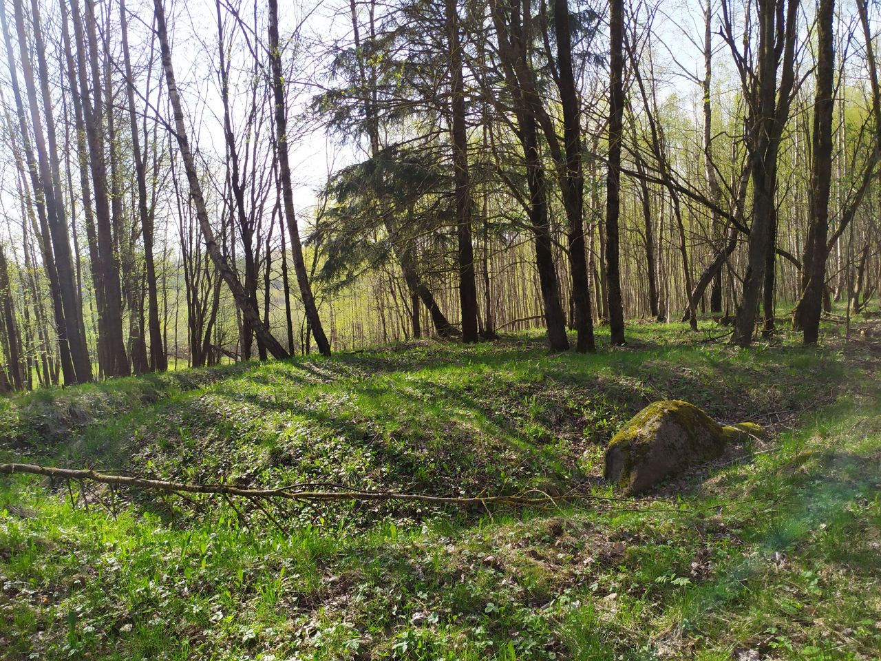 Działka rolna Użmauda. Zdjęcie 8