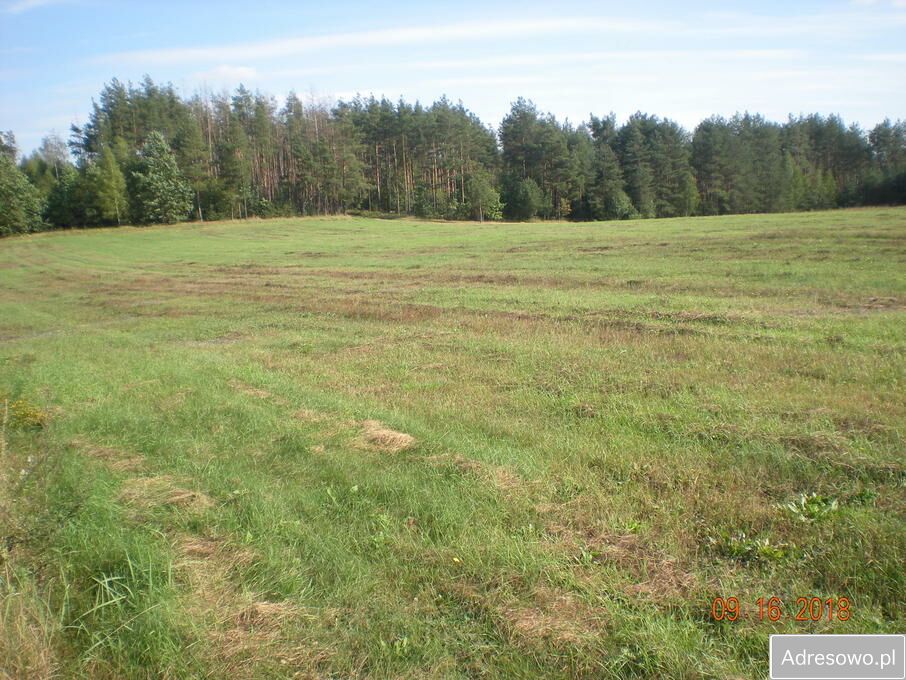 Działka rolna Wasilków. Zdjęcie 6