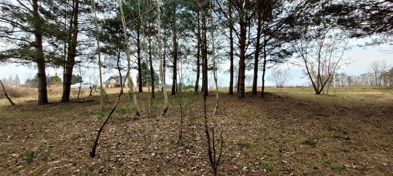 Działka budowlana Ożarów. Zdjęcie 7