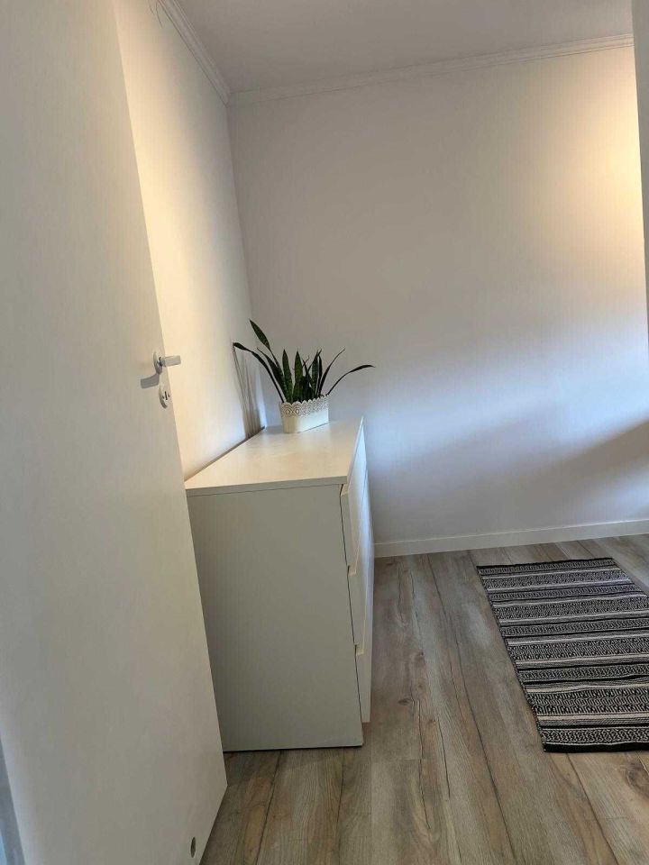 Mieszkanie 2-pokojowe Wrocław Zacisze, al. Jana Kochanowskiego. Zdjęcie 5