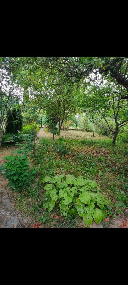 Działka rod Kraków Mistrzejowice, ul. Łęgowa. Zdjęcie 4