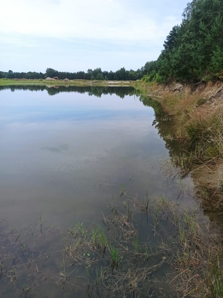 Działka inwestycyjna Nowa Grobla Hamernia. Zdjęcie 4