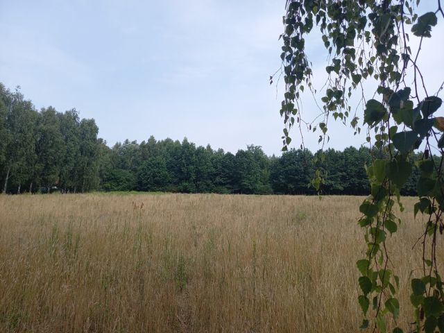 Działka budowlana Korzeniówka. Zdjęcie 9