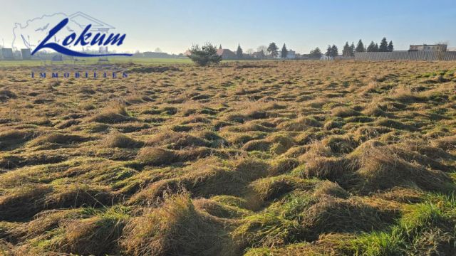 Działka inwestycyjna Lipno, ul. Spółdzielcza. Zdjęcie 6