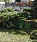 Działka budowlana Marki Pustelnik, Pomnikowa. Zdjęcie 4