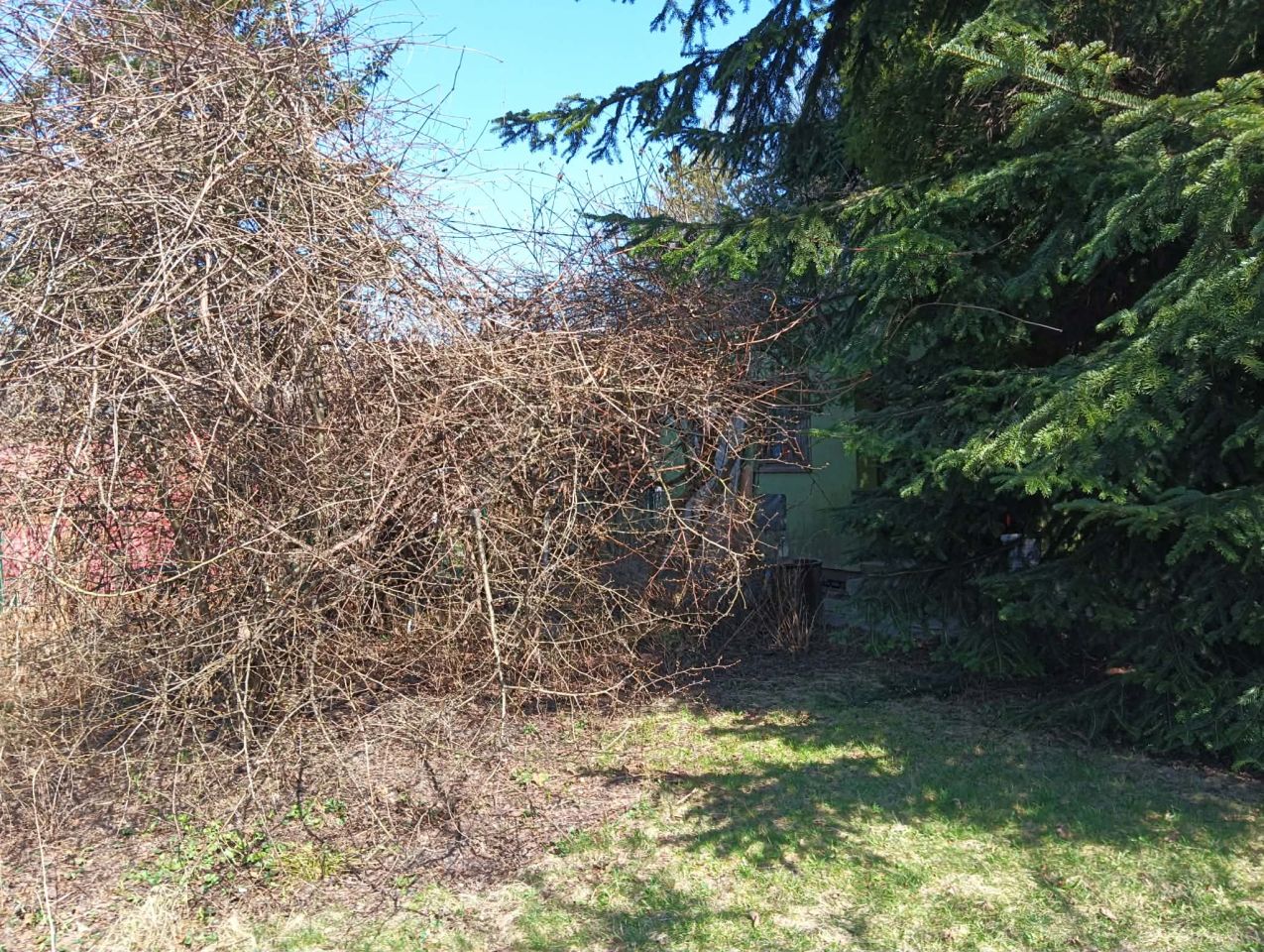 Działka rod Łódź Bałuty, ul. Działkowa. Zdjęcie 6