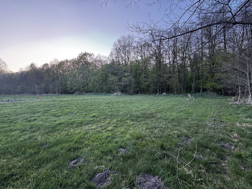 Działka rolno-budowlana Budy Barcząckie. Zdjęcie 4