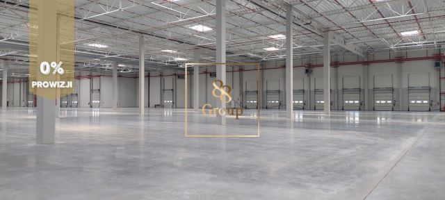 Hala/magazyn Wolica. Zdjęcie 3